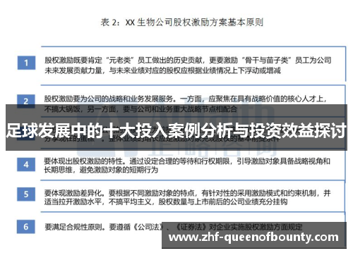 足球发展中的十大投入案例分析与投资效益探讨